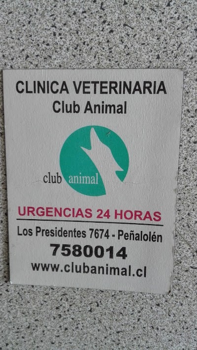 Photos of Club Animal