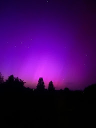 Photo n°29 de CAMPING LA PINEDE à L'Aiguillon-la-Presqu'île (Terrain de camping)