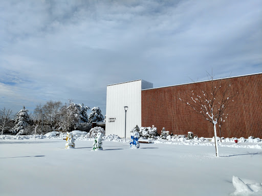 Swirbul Library - Thumbnail
