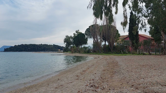 The Pinewood - Ελλομένο
