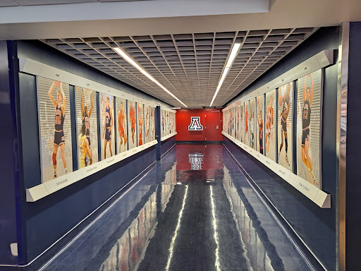 McKale Memorial Center Gallery - United States