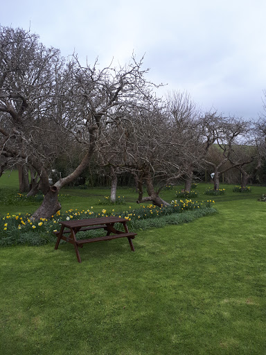 Verbum Dei Retreat Centre, - Thumbnail
