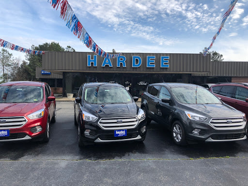 Hardee Ford - Visual