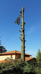 Photo n°1 de Bonnet Pierre à Francheville (Entreprise de terrassement)