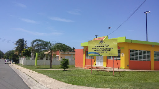 Carrizales Library