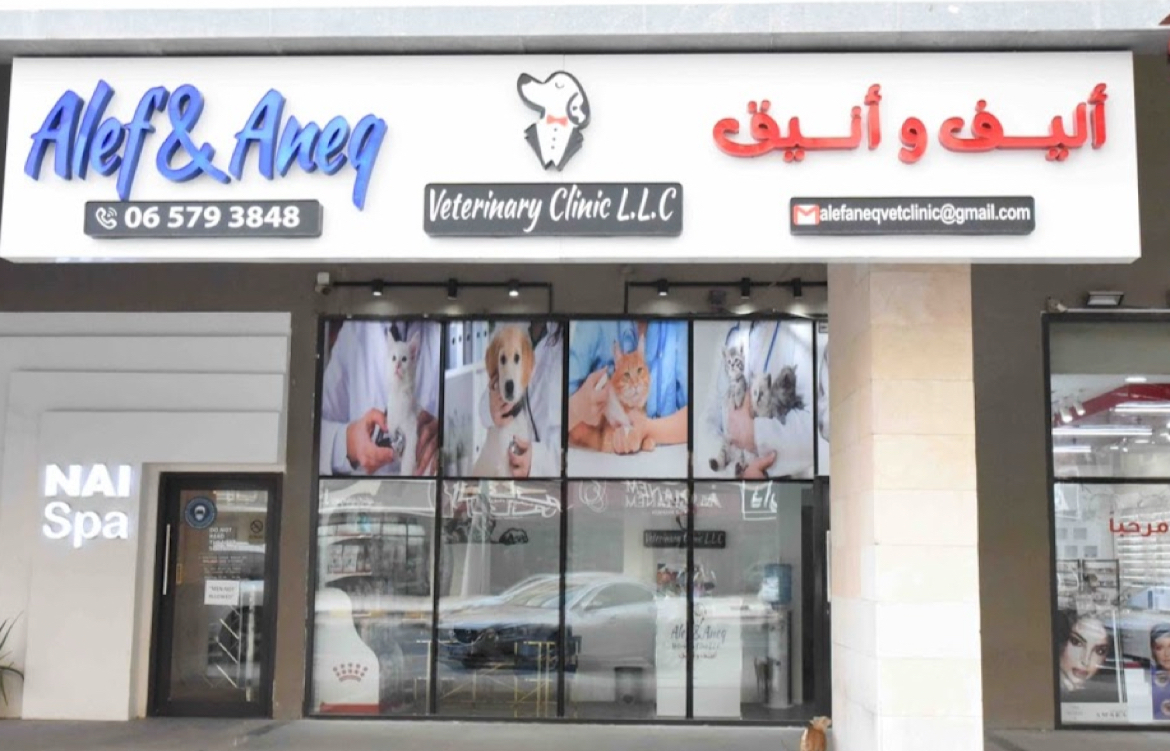 عيادة العاصفة البيطرية - صورة 4