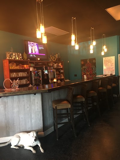 Photos of Rooted Kava Lounge