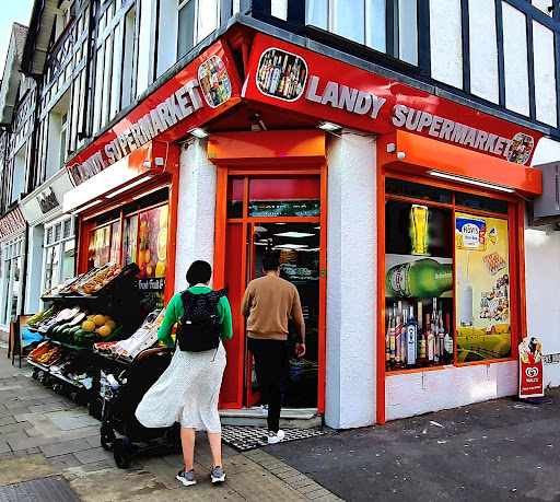 Landy Supermarket - Thumbnail