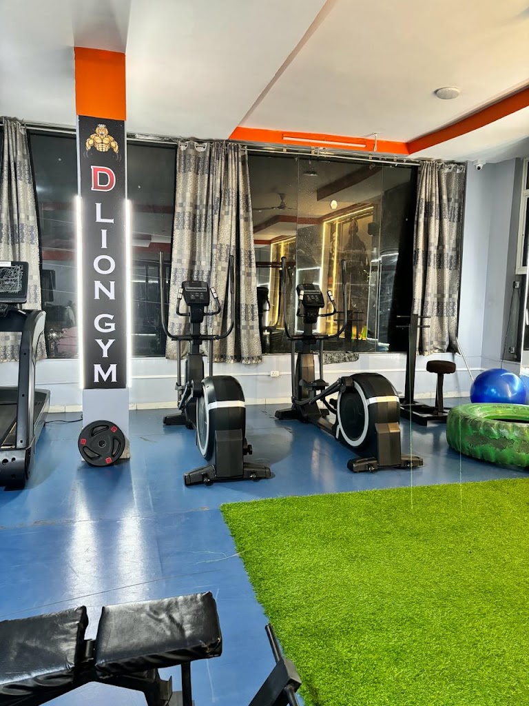 D Lion Gym