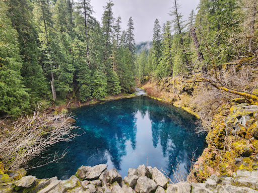 Tamolitch Falls (Blue Pool)