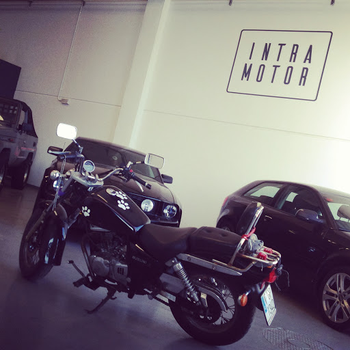 INTRAMOTOR - Visual