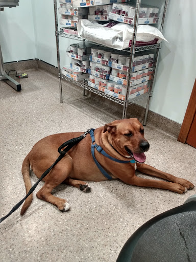 Spring Valley Animal Med Hospital - Thumbnail