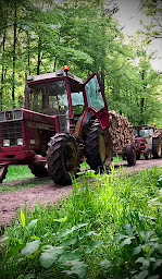 Photo n°22 de AC Bois de Chauffage à Chémery-Chéhéry (Négociant en bois)