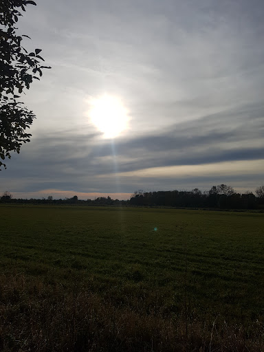 Godots Platz