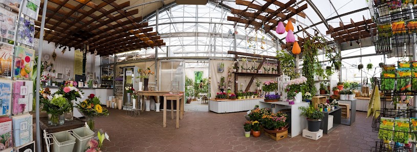 Bella Flora - Floristik und Gärtnerei Hersfelder Str. 30, 36460 Krayenberggemeinde