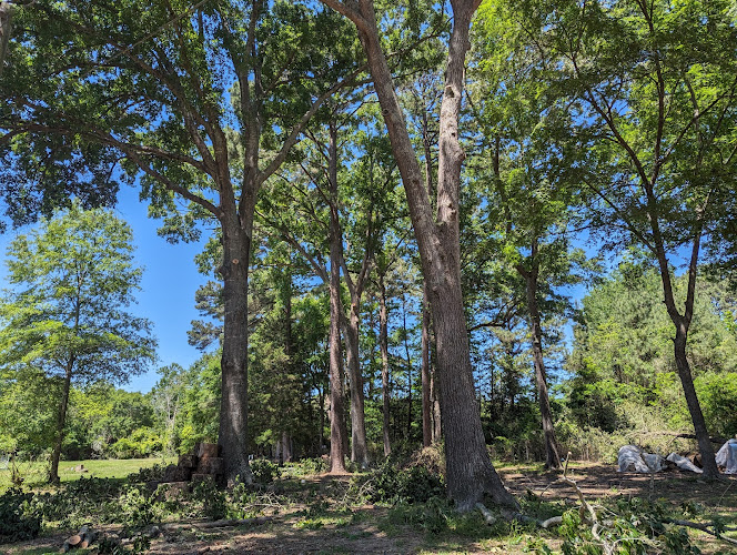 Homestead Tree Services