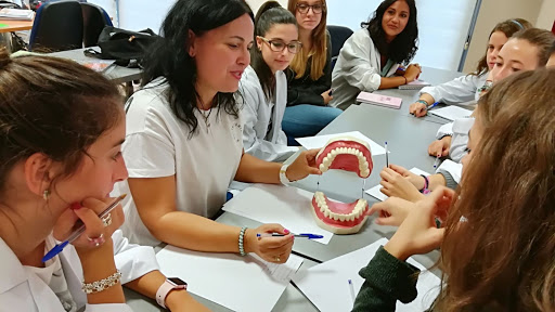 Kapital Inteligente Formación Profesional