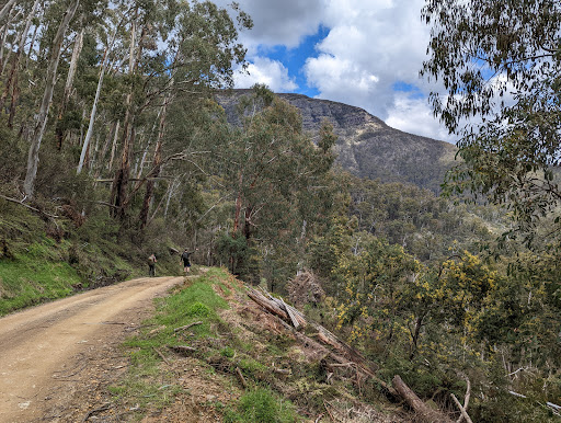 Bluff Walking Track
