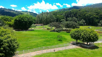Photos of Restaurante Quinta do Cedro