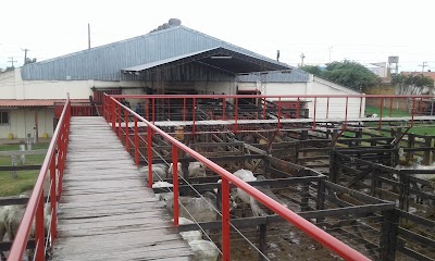 Photos of CENTRO DE REMATES EL MARUCHO LTDA