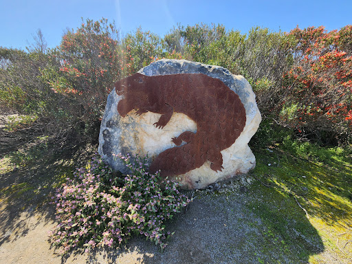 Templetonia Lookout Gallery - Australia