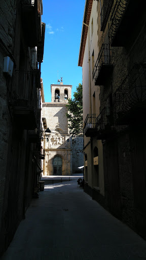 Barberia Roig