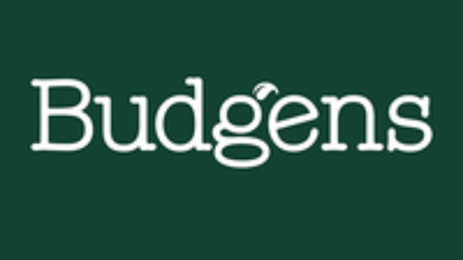 Budgens of Rydens Way - Thumbnail