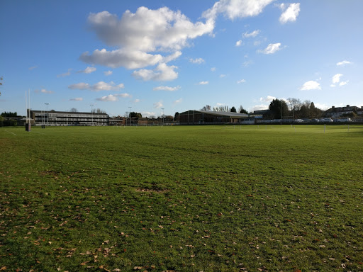 Colfe's School - Visual