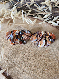 Photo n°7 de Papill'arts à Rochefort (Grossiste en produits artisanaux)