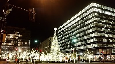 The Park at CityCenter DC