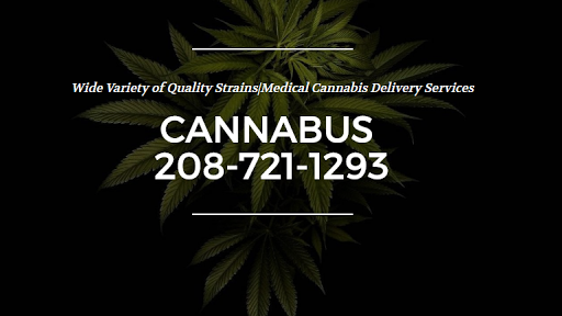 Cannabus - Visual