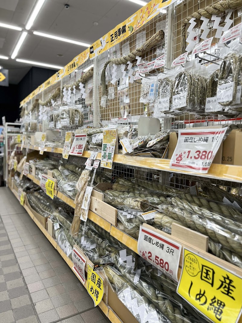 ジョイフル本田 守谷店