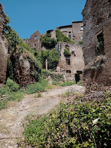 Vejano - Visual