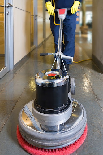 Orchid Carpet Cleaning - Bournemouth
