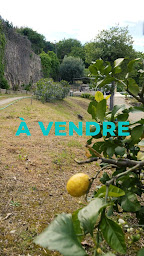 Photo n°5 de Agence immobilière Nestenn Vallauris Golfe Juan à Vallauris (Agence de location d’appartements à court terme)