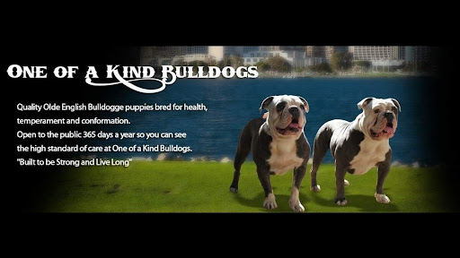 One of a Kind Bulldogs Inc.
