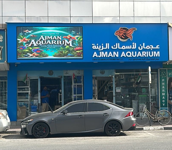 Aqua Impex Ornamental Fish Trd LLC. - صورة 2