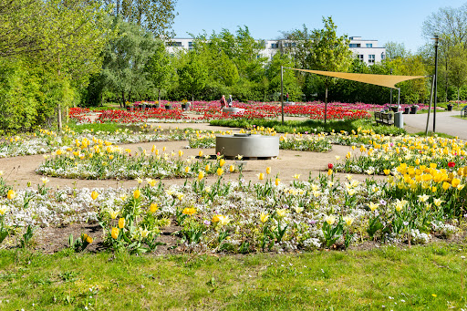 Blumenarena - Visual