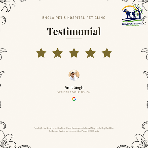 Amit Singh, a satisfied pet parent from Lucknow, gives a glowing review to Bhola Pet's Hospital p… post image