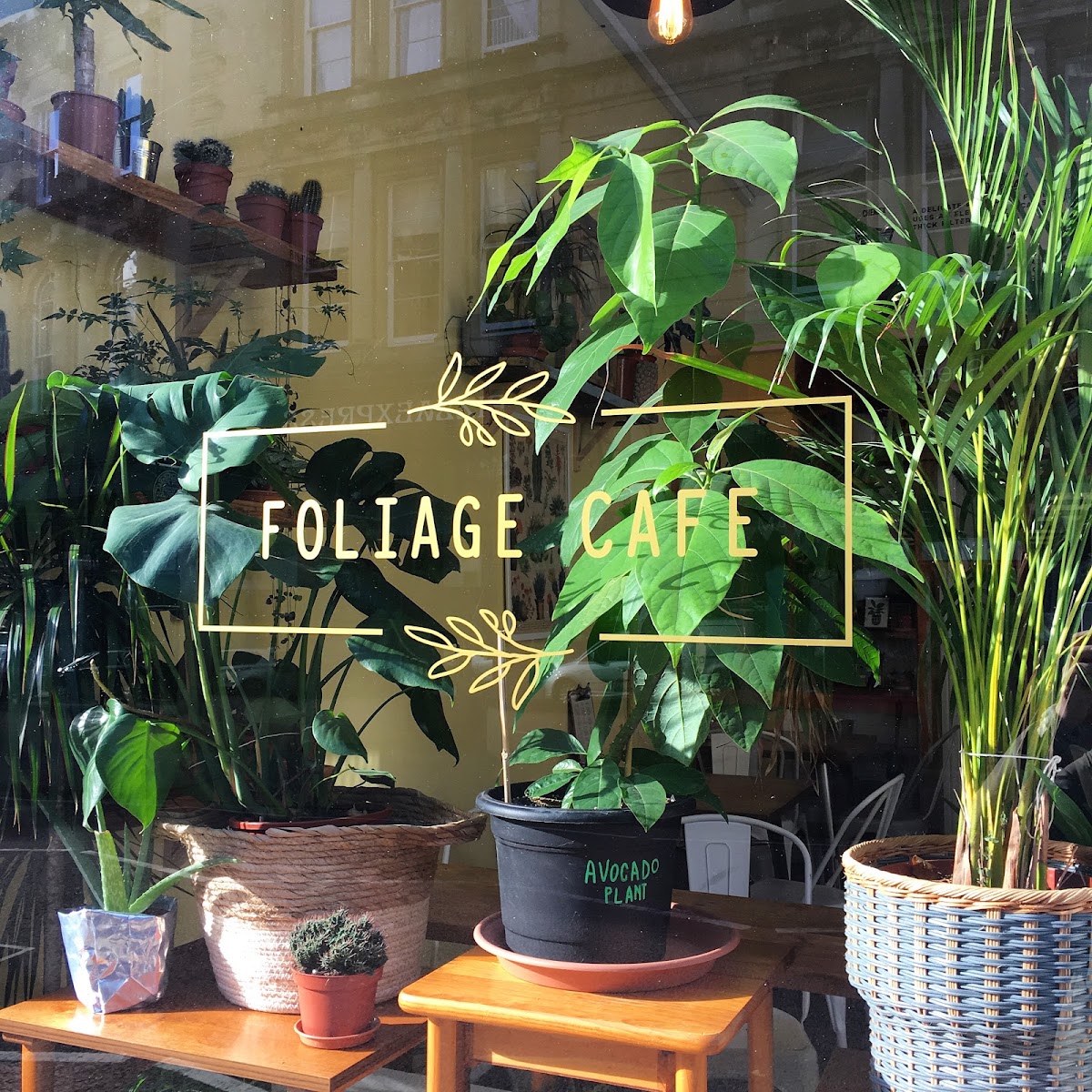 Foliage Cafe — photo 4