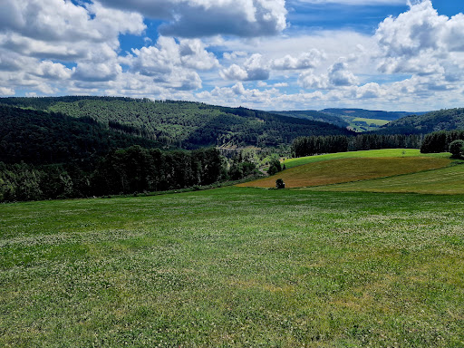 Rothaarkamm am Grenzweg - Germany