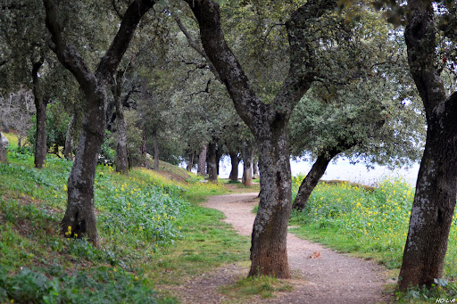 Paseo Alto - Paseo de Ibarrola - Thumbnail