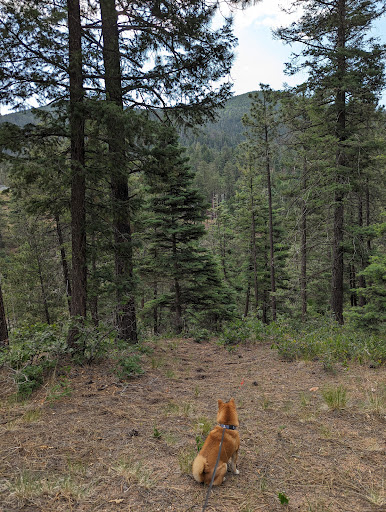 Hyde Memorial State Park RV Campground - Thumbnail