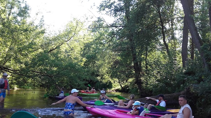 Rental Kayaks Against the Current, Author: Konrad Wargoc