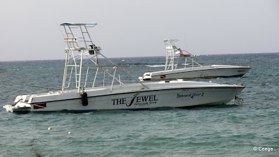 Photos of Sharkies Seafood Restaurant