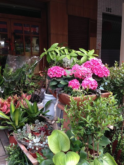 安柏夏儂花屋 Takao 6 7 536 76 Taiwan