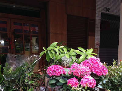 25 ++ 花屋 柏 125224-花屋 柏市