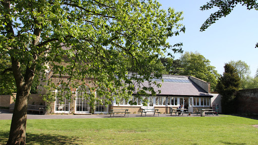 Cedars Park Cafe - Visual