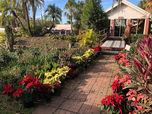 Staggs Nursery