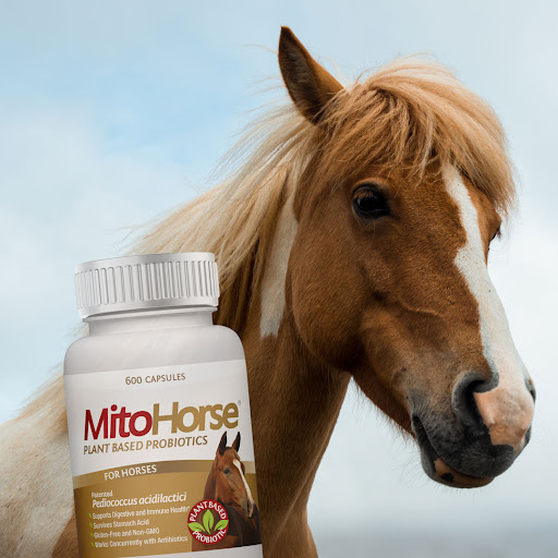 MitoPets.com - Visual